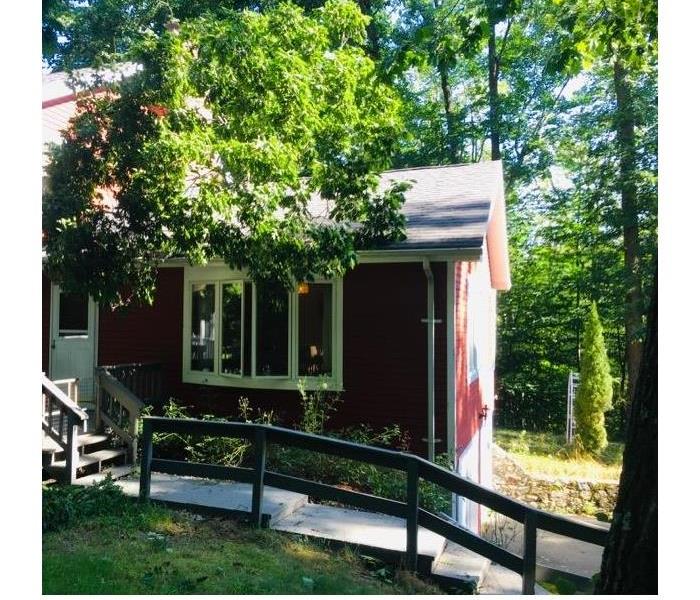 red house with tree on the roof