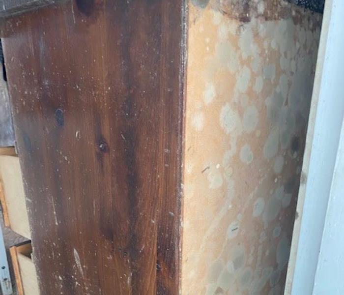 mold covering a cabinet